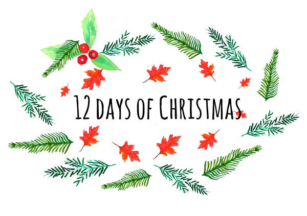 12 Days Of Christmas With Flax Fox