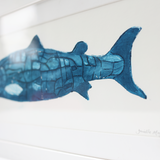 Framed, Belfast Big Fish