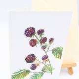 Blackberry
