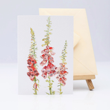 Fantastical Foxgloves