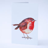 Robin red breast watercolour illustration greeting card by Danielle Morgan