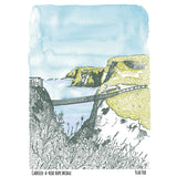 carrick a rede postcard flax fox illustrated art £2.50