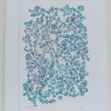 Forget-me-not