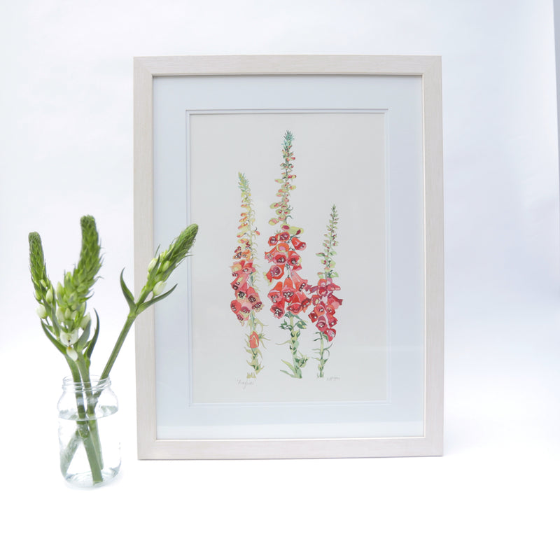 Picture of framed Foxglove watercolour painting inspired by Mount Stewart Gardens, painted by Danielle Morgan