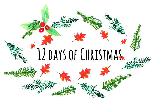 12 Days Of Christmas With Flax Fox