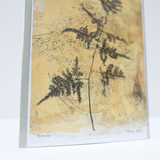 Gold Fern