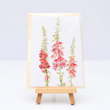 Fantastical Foxgloves