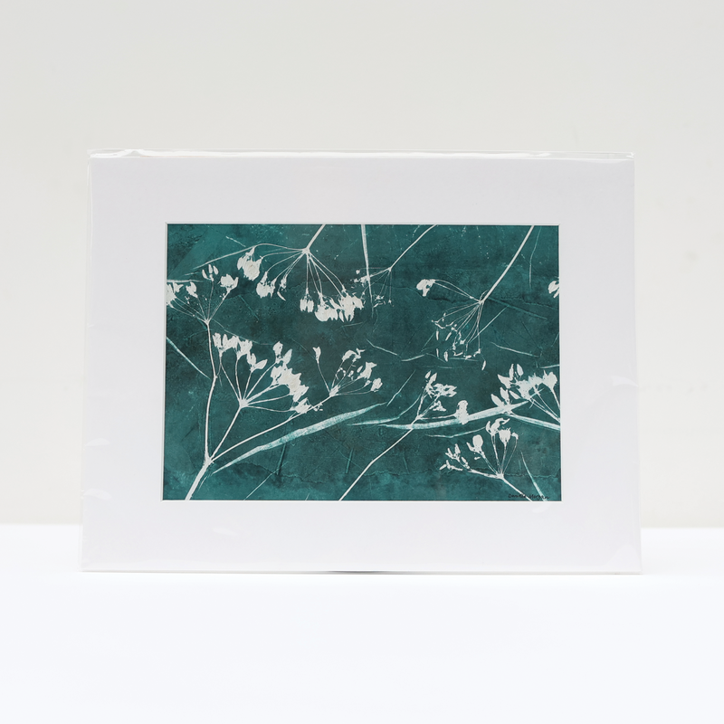 Hedgerow