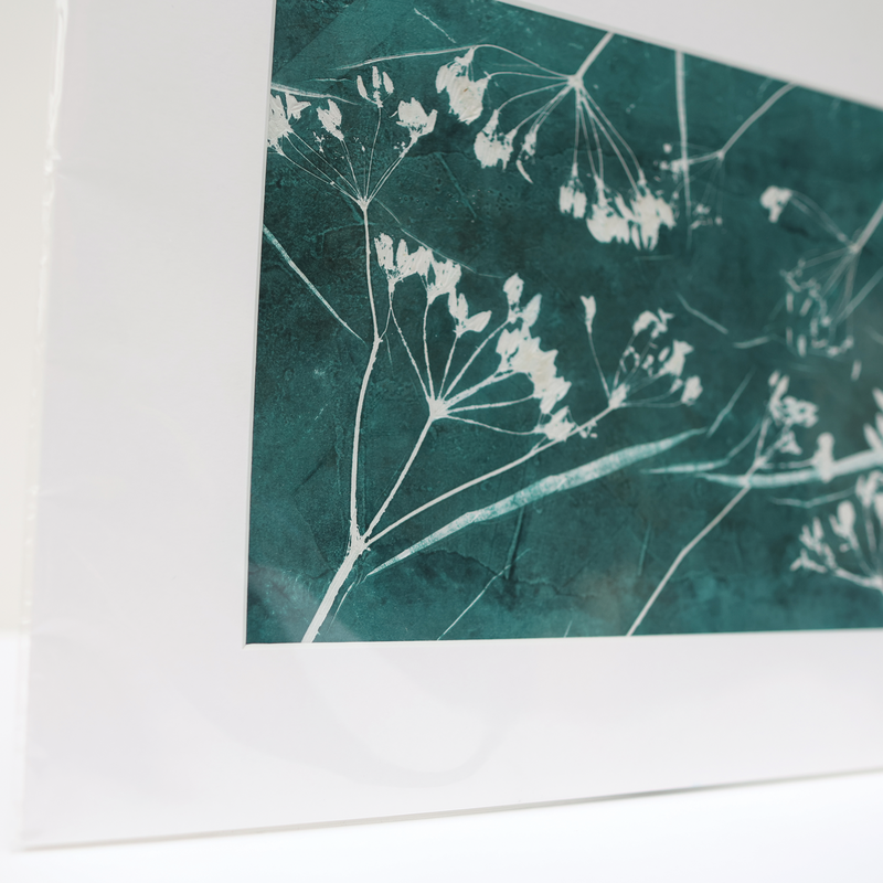 Hedgerow