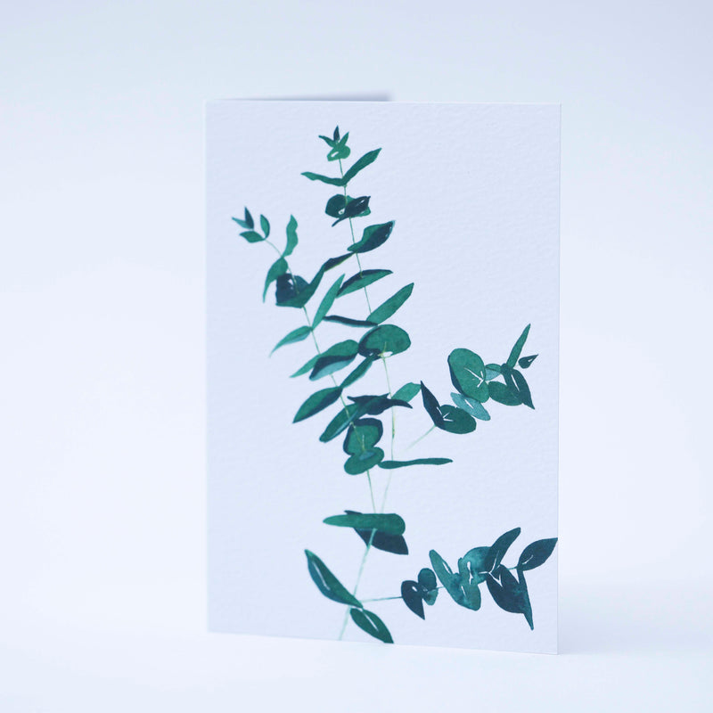 Eucalyptus watercolour illustration greeting card by Danielle Morgan