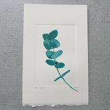 Eucalyptus original watercolour sketch by Danielle Morgan from Flax Fox