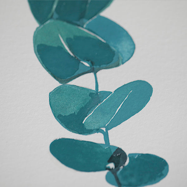 Eucalyptus original watercolour sketch by Danielle Morgan from Flax Fox