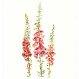 Foxglove art print by Danielle Morgan