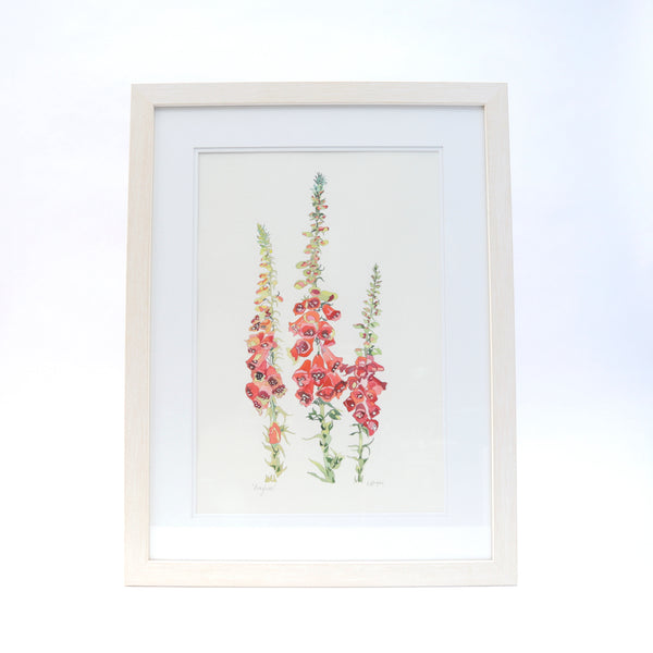 Foxglove watercolour painting inspired by Mount Stewart Gardens, painted by Danielle Morgan