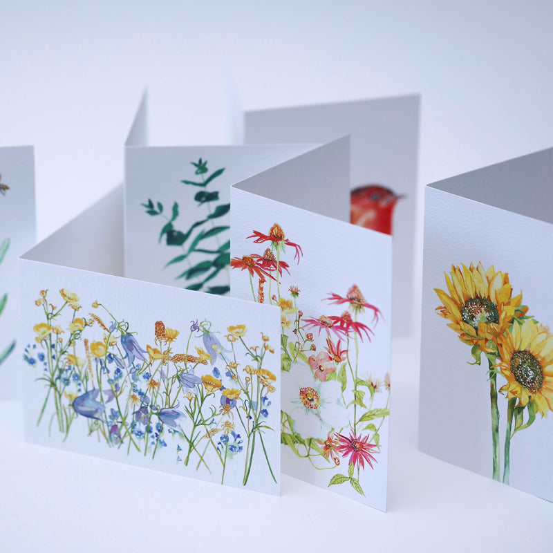 Greeting card selection of florals by Danielle Morgan