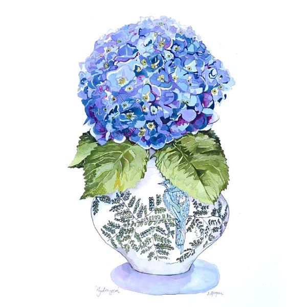 Hydrangea