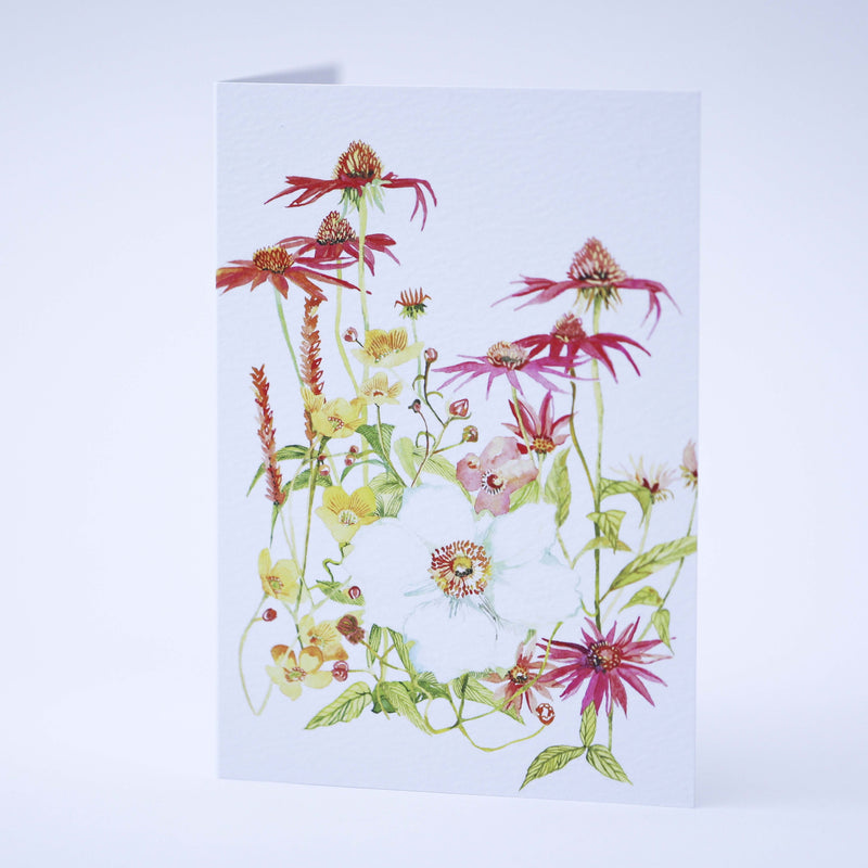 ECHINACEA WATERCOLOUR ILLUSTRATION GREETING CARD BY DANIELLE MORGAN