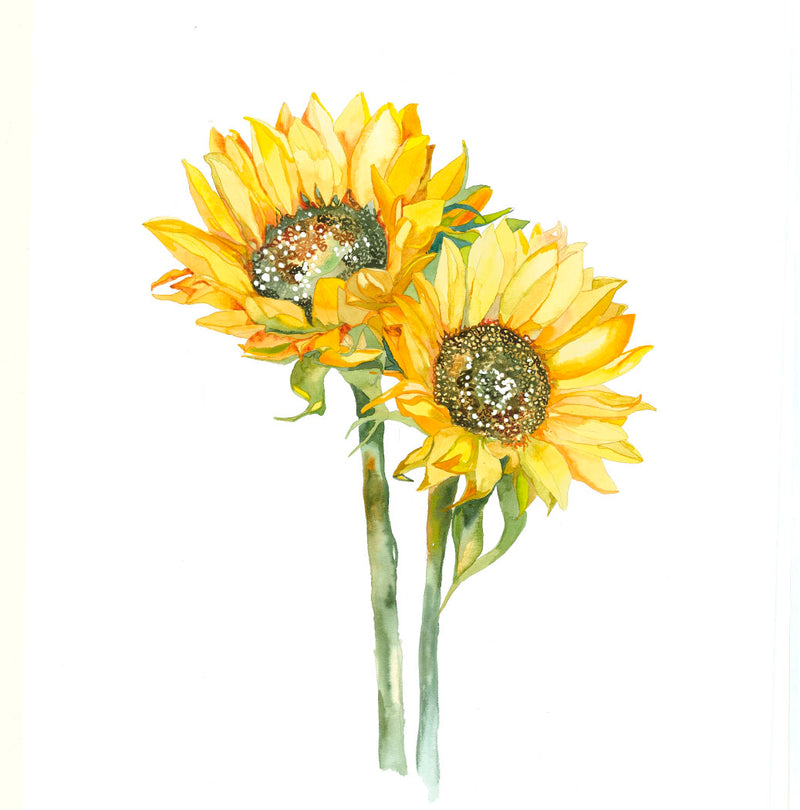Sunflower Watercolour Painting by Danielle Morgan from Flax Fox