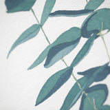 Eucalyptus watercolour painting by Danielle Morgan