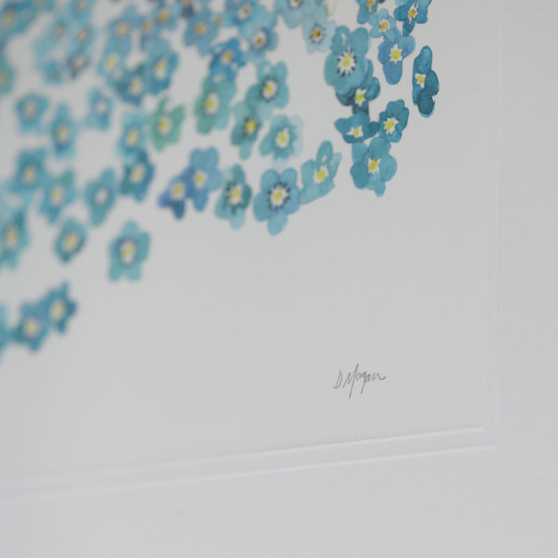 Forget-me-not watercolour painting by Danielle Morgan