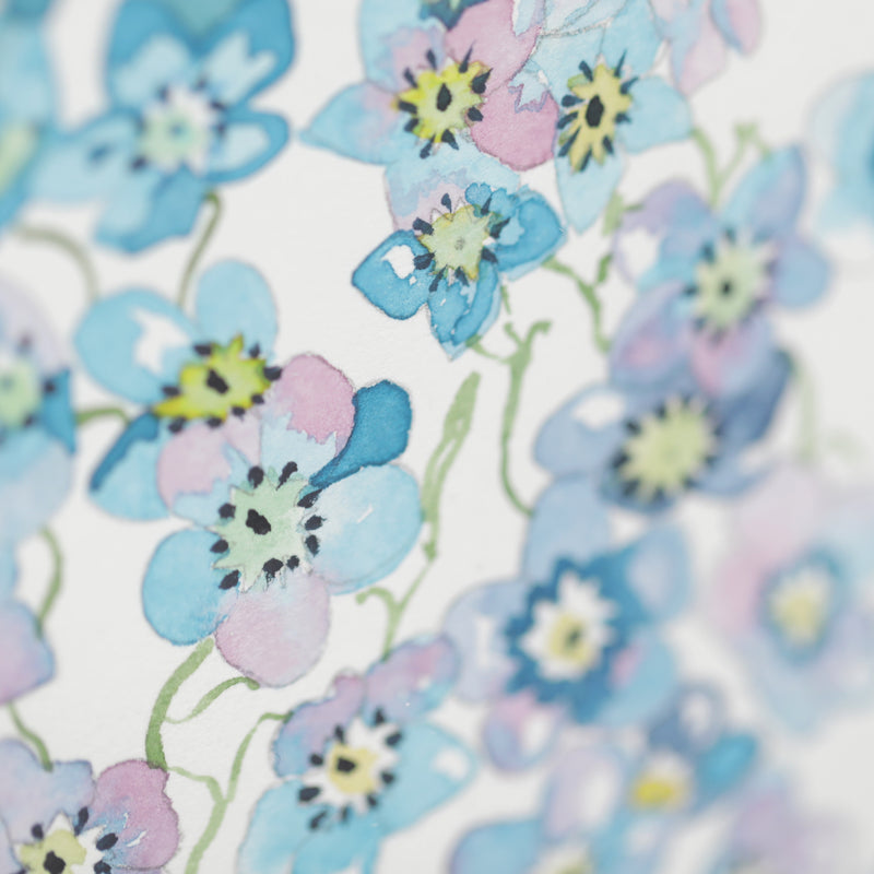 Forget-me-not watercolour painting by Danielle Morgan