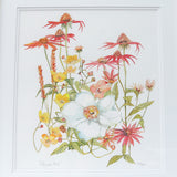 Echinacea watercolour illustration by Danielle Morgan from Flax Fox