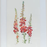Foxglove watercolour painting inspired by Mount Stewart Gardens, painted by Danielle Morgan