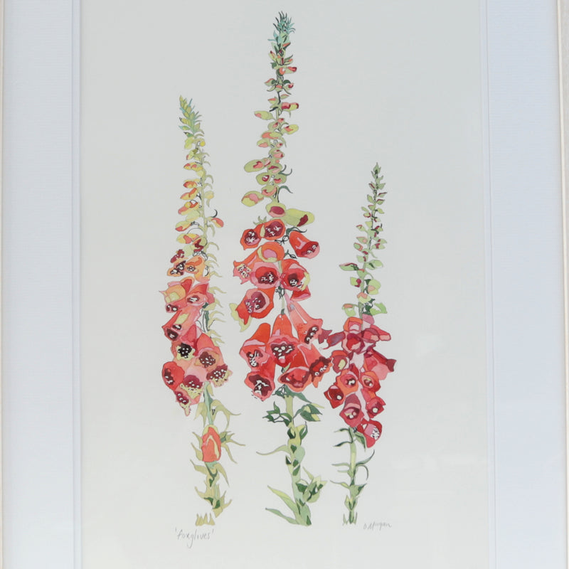 Foxglove watercolour painting inspired by Mount Stewart Gardens, painted by Danielle Morgan