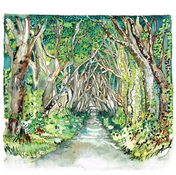 The Dark Hedges