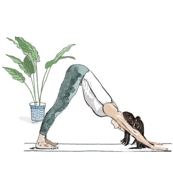 Downward Dog