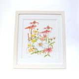 Echinacea watercolour illustration by Danielle Morgan from Flax Fox