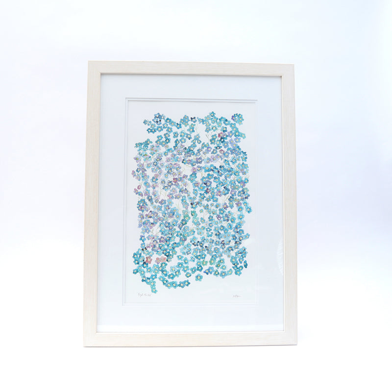Forget-me-not